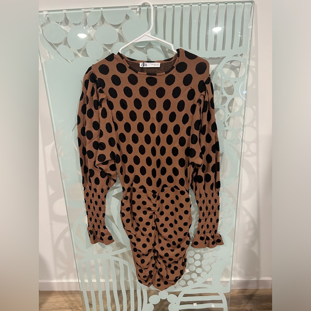 Zara Polka Dot Dress